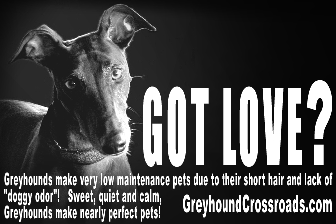 Greyhound Crossroads Got Love Ad