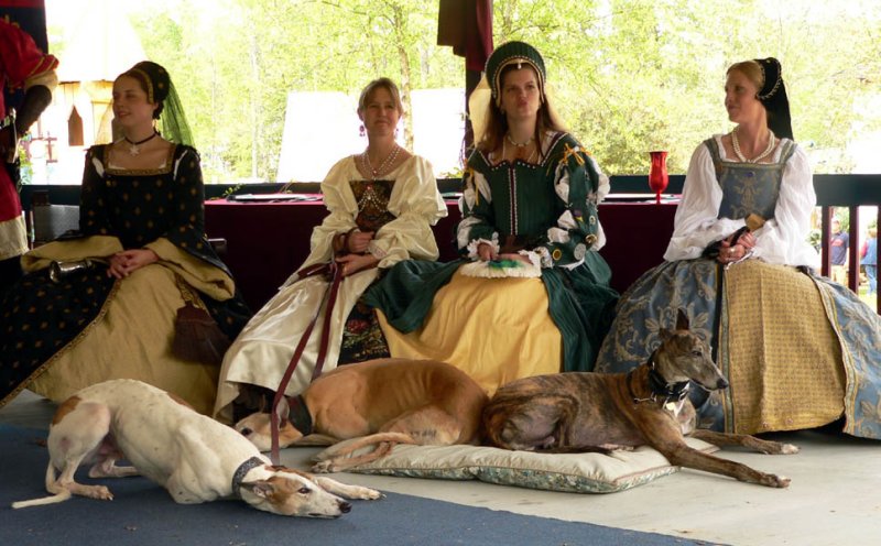 Greyhounds Renaissance