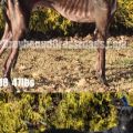 Dudley ProgressWatermark 1.JPG