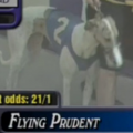 Flying Prudent3.png