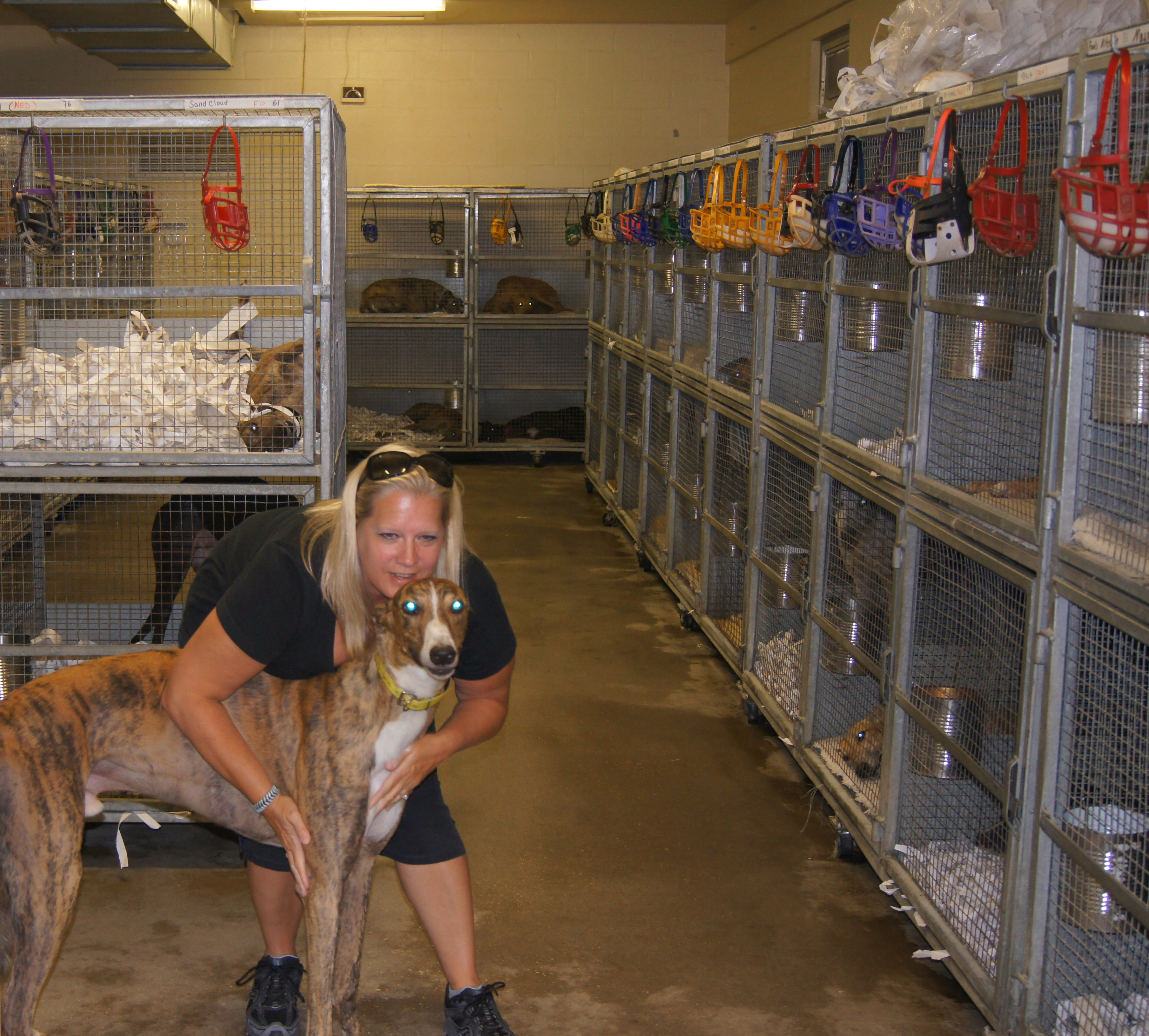 Stutz in Racing Kennel