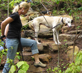 Joanne and Streak Hiking