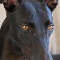 Dayface10.JPG